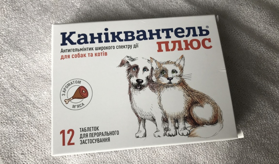Каніквантель: ефективний засіб для захисту собак від гельмінтів