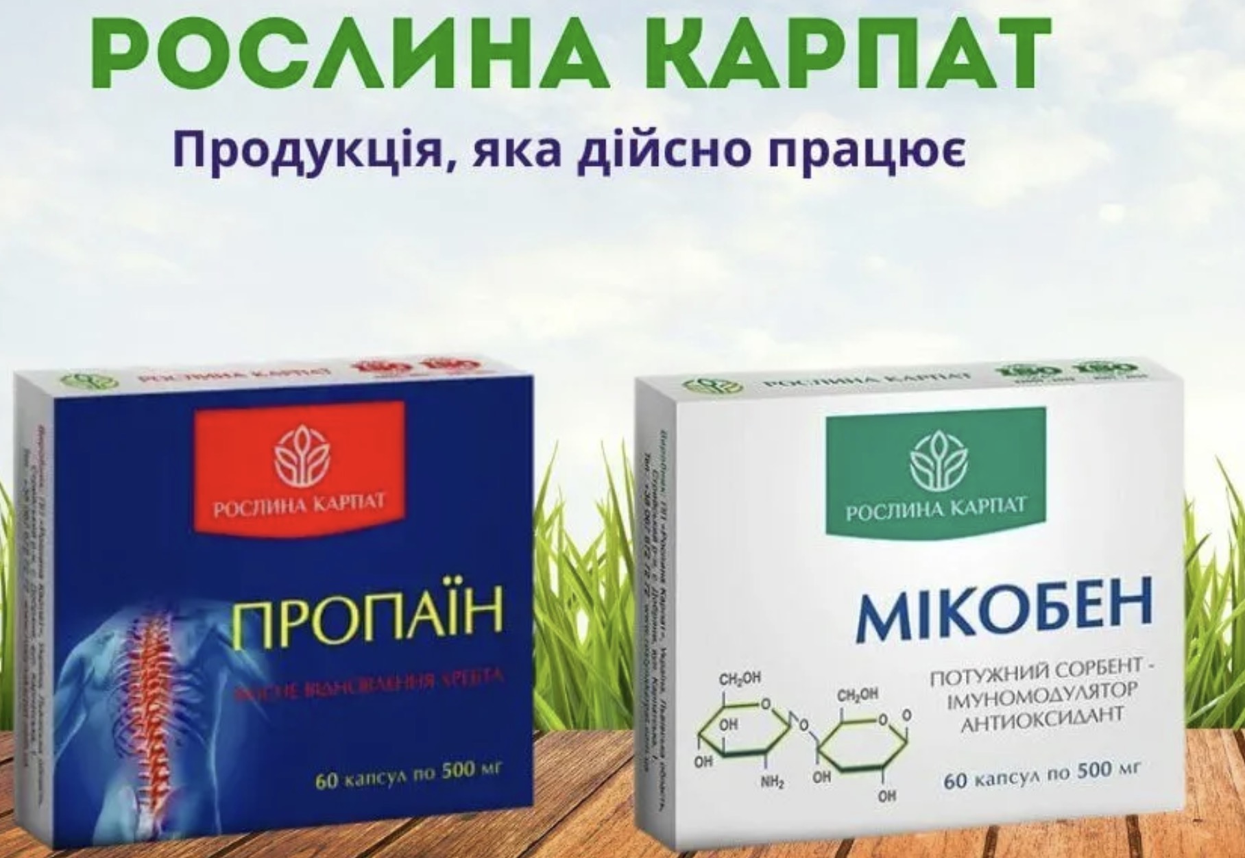 Препарати Рослина Карпат — фітокомплекси для здоров’я всієї родини
